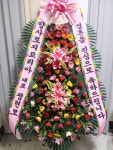 성산구 비음로4번길 6 꽃집, (사파동) 지하층 꽃집, 경상남도 창원시 성산구 비음로4번길 6 꽃배달, (사파동) 지하층 꽃배달 - 플로라 인... 