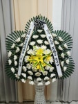성산구 비음로4번길 6 꽃집, (사파동) 지하층 꽃집, 경상남도 창원시 성산구 비음로4번길 6 꽃배달, (사파동) 지하층 꽃배달 - 플로라 인... 