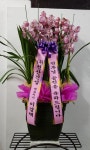 고흥군 고흥읍 여산당촌길 46 꽃집, (모아하이빌아파트) 102호... 고흥군 고흥읍 여산당촌길 46 꽃배달, (모아하이빌아파트) 102호 백양꽃화원... 