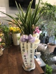 의창구 퇴촌로 11 꽃집, (사림동) 꽃집, 경상남도 창원시 의창구 퇴촌로 11 꽃배달, (사림동) 꽃배달 - 플로라현 플라워119꽃배달서비스 - 생일... 