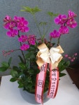 경기도화성시 꽃배달, 경기도화성시 꽃집, 경기도 화성시 봉담읍 삼천병마로 818 꽃집, 실내조경미가 꽃집, 경기도 화성시 봉담읍 삼천병마로 818... 