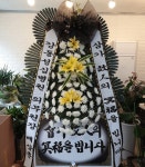 경상북도영주시 꽃배달, 경상북도영주시 꽃집, 경상북도 영주시 신재로12번길 31 꽃집, 호야플라워(가흥동) 꽃집, 경상북도 영주시 신재로12번길... 