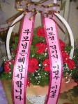 충청남도홍성군 꽃배달, 충청남도홍성군 꽃집, 충청남도 홍성군 홍성읍 월산로50번길 25 꽃집, 103호(청운빌딩) 꽃집, 충청남도 홍성군 홍성읍... 