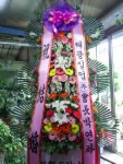 대구광역시달서구 꽃배달, 대구광역시달서구 꽃집, 대구광역시 달서구 월곡로94길 39 꽃집, (월성동) 꽃집, 대구광역시 달서구 월곡로94길 39... 