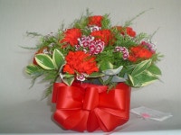 경상남도진주시 꽃배달, 경상남도진주시 꽃집, 경상남도 진주시 모덕로64번길 10-4 꽃집, (상대동) 꽃집, 경상남도 진주시 모덕로64번길 10-4... 