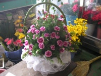 충청남도홍성군 꽃배달, 충청남도홍성군 꽃집, 충청남도 홍성군 홍성읍 월산로50번길 25 꽃집, 103호(청운빌딩) 꽃집, 충청남도 홍성군 홍성읍... 