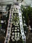 광주광역시광산구 꽃배달, 광주광역시광산구 꽃집, 광주 광산구 신가동 꽃집, 233-3번지 007플라워 꽃집, 광주 광산구 신가동 꽃배달, 233-3번지... 