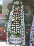 안계면 안계시장길 53-5 꽃집, 꽃집, 경상북도 의성군 안계면... 화분관엽, 난, 동양란, 서양란, 화환, 근조화환, 축하화환, 쥬얼리, 케잌, 샴페인... 