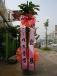 광주광역시광산구 꽃배달, 광주광역시광산구 꽃집, 광주 광산구 신가동 꽃집, 233-3번지 007플라워 꽃집, 광주 광산구 신가동 꽃배달, 233-3번지... 