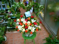 충청북도진천군 꽃배달, 충청북도진천군 꽃집, 충청북도 진천군 진천읍 상산로 77-2 꽃집, 진천꽃화원 꽃집, 충청북도 진천군 진천읍 상산로 77-2... 