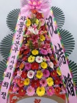 남구 진남로 188번길 52-17 꽃집, 부산광역시 남구 문현로 37-7 꽃배달, 부산광역시 남구 진남로 188번길 52-17 꽃배달 - 숲플라워... 