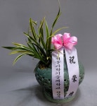 경상북도구미시 꽃배달, 경상북도구미시 꽃집, 경상북도 구미시 상림로 129 꽃집, 사계절타운 1층2호(사곡동) 꽃집, 경상북도 구미시 상림로 129... 