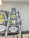 드림농원(영등동) 꽃집, 전북특별자치도 익산시 고봉로18길 86 꽃배달, 백세인생 드림농원(영등동) 꽃배달 - 백세인생 드림농원... 