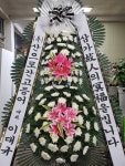 고흥군 고흥읍 여산당촌길 46 꽃집, (모아하이빌아파트) 102호... 고흥군 고흥읍 여산당촌길 46 꽃배달, (모아하이빌아파트) 102호 백양꽃화원... 