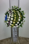 서북구 성정로 97-8 꽃집, 1층상가 전체(성정동, 두레원룸) 꽃집, 충청남도 천안시 서북구 성정로 97-8 꽃배달, 1층상가 전체(성정동, 두레원룸)... 