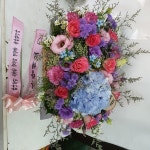 경기도안산시 상록구 꽃배달, 경기도안산시 상록구 꽃집, 경기도 안산시 상록구 충장로 384-2 꽃집, (이동) 꽃집, 경기도 안산시 상록구 충장로 384... 