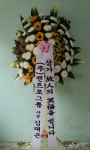 서북구 성정로 97-8 꽃집, 1층상가 전체(성정동, 두레원룸) 꽃집, 충청남도 천안시 서북구 성정로 97-8 꽃배달, 1층상가 전체(성정동, 두레원룸)... 