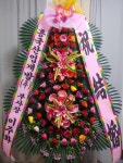 성산구 비음로4번길 6 꽃집, (사파동) 지하층 꽃집, 경상남도 창원시 성산구 비음로4번길 6 꽃배달, (사파동) 지하층 꽃배달 - 플로라 인... 