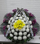 경기도고양시 일산동구 꽃배달, 경기도고양시 일산동구 꽃집, 경기도 고양시 일산동구 무궁화로386번길 29-13 꽃집, (식사동) 꽃집, 경기도... 