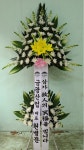 서북구 성정로 97-8 꽃집, 1층상가 전체(성정동, 두레원룸) 꽃집, 충청남도 천안시 서북구 성정로 97-8 꽃배달, 1층상가 전체(성정동, 두레원룸)... 