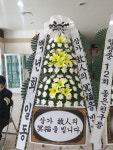 드림농원(영등동) 꽃집, 전북특별자치도 익산시 고봉로18길 86 꽃배달, 백세인생 드림농원(영등동) 꽃배달 - 백세인생 드림농원... 