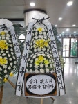 드림농원(영등동) 꽃집, 전북특별자치도 익산시 고봉로18길 86 꽃배달, 백세인생 드림농원(영등동) 꽃배달 - 백세인생 드림농원... 
