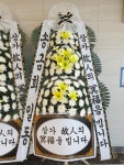 드림농원(영등동) 꽃집, 전북특별자치도 익산시 고봉로18길 86 꽃배달, 백세인생 드림농원(영등동) 꽃배달 - 백세인생 드림농원... 