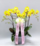 경상북도구미시 꽃배달, 경상북도구미시 꽃집, 경상북도 구미시 상림로 129 꽃집, 사계절타운 1층2호(사곡동) 꽃집, 경상북도 구미시 상림로 129... 