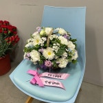 프리플라워(세곡동) 꽃집, 서울특별시 강남구 헌릉로 652 꽃배달... 꽃바구니, 명품관, 화분관엽, 난, 동양란, 서양란, 화환, 근조화환, 축하화환... 