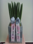 세종특별자치시 조치원읍 돌마루1길 1-9 꽃배달, 1-9 하늘정원 꽃배달 - 하늘정원 플라워119꽃배달서비스 - 생일, 개업, 축하, 근조 꽃배달 전문... 