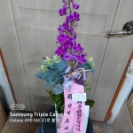안계면 안계시장길 53-5 꽃집, 꽃집, 경상북도 의성군 안계면... 화분관엽, 난, 동양란, 서양란, 화환, 근조화환, 축하화환, 쥬얼리, 케잌, 샴페인... 
