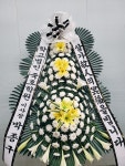 프리플라워(세곡동) 꽃집, 서울특별시 강남구 헌릉로 652 꽃배달... 꽃바구니, 명품관, 화분관엽, 난, 동양란, 서양란, 화환, 근조화환, 축하화환... 
