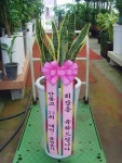 세종특별자치시 조치원읍 돌마루1길 1-9 꽃배달, 1-9 하늘정원 꽃배달 - 하늘정원 플라워119꽃배달서비스 - 생일, 개업, 축하, 근조 꽃배달 전문... 