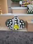 드림농원(영등동) 꽃집, 전북특별자치도 익산시 고봉로18길 86 꽃배달, 백세인생 드림농원(영등동) 꽃배달 - 백세인생 드림농원... 