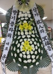 드림농원(영등동) 꽃집, 전북특별자치도 익산시 고봉로18길 86 꽃배달, 백세인생 드림농원(영등동) 꽃배달 - 백세인생 드림농원... 