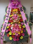 드림농원(영등동) 꽃집, 전북특별자치도 익산시 고봉로18길 86 꽃배달, 백세인생 드림농원(영등동) 꽃배달 - 백세인생 드림농원... 
