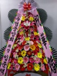 남구 진남로 188번길 52-17 꽃집, 부산광역시 남구 문현로 37-7 꽃배달, 부산광역시 남구 진남로 188번길 52-17 꽃배달 - 숲플라워... 