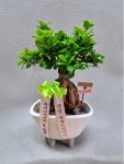 경상북도구미시 꽃배달, 경상북도구미시 꽃집, 경상북도 구미시 상림로 129 꽃집, 사계절타운 1층2호(사곡동) 꽃집, 경상북도 구미시 상림로 129... 