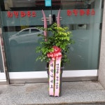 전라남도여수시 꽃배달, 전라남도여수시 꽃집, 전라남도 여수시 도원로 171-1 꽃집, (선원동) 꽃집, 전라남도 여수시 도원로 171-1 꽃배달... 