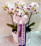 경기도안산시 단원구 꽃배달, 경기도안산시 단원구 꽃집, 경기도 안산시 단원구 석수로 33 꽃집, 경기도안산시 단원구선부동1071-9 꽃집, 경기도... 