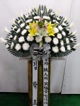 부산광역시남구 꽃배달, 부산광역시남구 꽃집, 부산광역시 남구 문현로 37-7 꽃집, 부산광역시 남구 진남로 188번길 52-17 꽃집, 부산광역시 남구... 