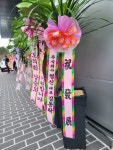 제주특별자치도서귀포시 꽃배달, 제주특별자치도서귀포시 꽃집, 제주특별자치도 서귀포시 동홍중앙로52번길 41 꽃집, 하성빌1층(동홍동) 꽃집... 