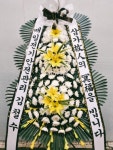 프리플라워(세곡동) 꽃집, 서울특별시 강남구 헌릉로 652 꽃배달... 꽃바구니, 명품관, 화분관엽, 난, 동양란, 서양란, 화환, 근조화환, 축하화환... 