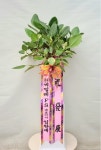 인천광역시남동구 꽃배달, 인천광역시남동구 꽃집, 인천광역시 남동구 매소홀로 812 꽃집, 선수촌화훼단지 3,4호 행복플라워(구월동) 꽃집... 