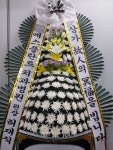 부산광역시남구 꽃배달, 부산광역시남구 꽃집, 부산광역시 남구 문현로 37-7 꽃집, 부산광역시 남구 진남로 188번길 52-17 꽃집, 부산광역시 남구... 