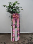 충청남도당진시 꽃배달, 충청남도당진시 꽃집, 충청남도 당진시 정안로 44 꽃집, 원당동 413-3(원당동) 꽃집, 충청남도 당진시 정안로 44 꽃배달... 