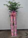 충청남도당진시 꽃배달, 충청남도당진시 꽃집, 충청남도 당진시 정안로 44 꽃집, 원당동 413-3(원당동) 꽃집, 충청남도 당진시 정안로 44 꽃배달... 