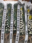 강원도원주시 꽃배달, 강원도원주시 꽃집, 강원도 원주시 치악로 1816-1 꽃집, 남부화원(개운동) 꽃집, 강원도 원주시 치악로 1816-1 꽃배달... 