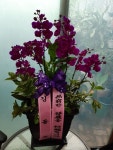 경기도화성시 꽃배달, 경기도화성시 꽃집, 경기도 화성시 향남읍 삼천병마로 148 꽃집, 148 꽃집, 경기도 화성시 향남읍 삼천병마로 148 꽃배달... 