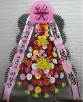 경기도고양시 일산동구 꽃배달, 경기도고양시 일산동구 꽃집, 경기도 고양시 일산동구 무궁화로386번길 29-13 꽃집, 식사동1021번지(식사동)... 